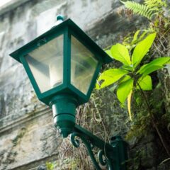 厚生労働省が乗り出した扶養の壁対策