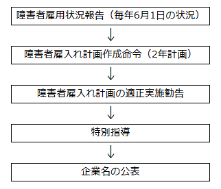 障害者雇用率達成の指導状況